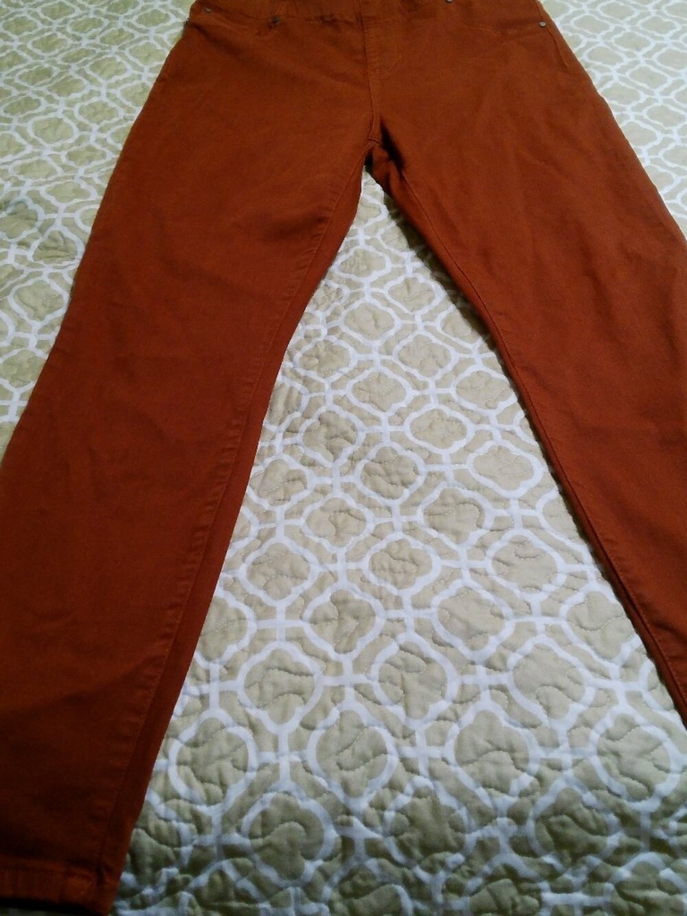 LIVERPOOL RUST COLOR PULL ON JEANS SIZE 10 GOOD CONDITION